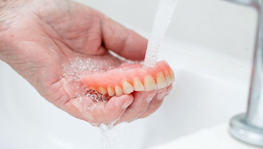 Pflegemittel & Anwendung Zahnprothesen, Spangen & Schienen 