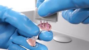 Entfernen von Haftcreme und Speiseresten