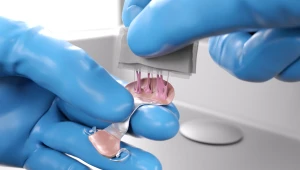 Entfernen von Haftcreme und Speiseresten