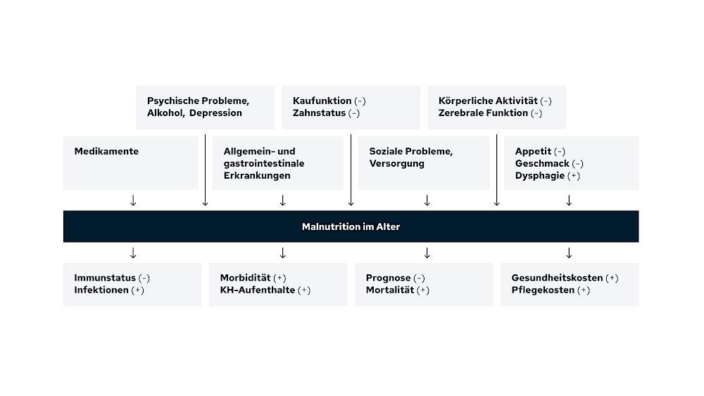 Einflussfaktoren, Ursachen und Auswirkungen einer Mangelernährung im Alter