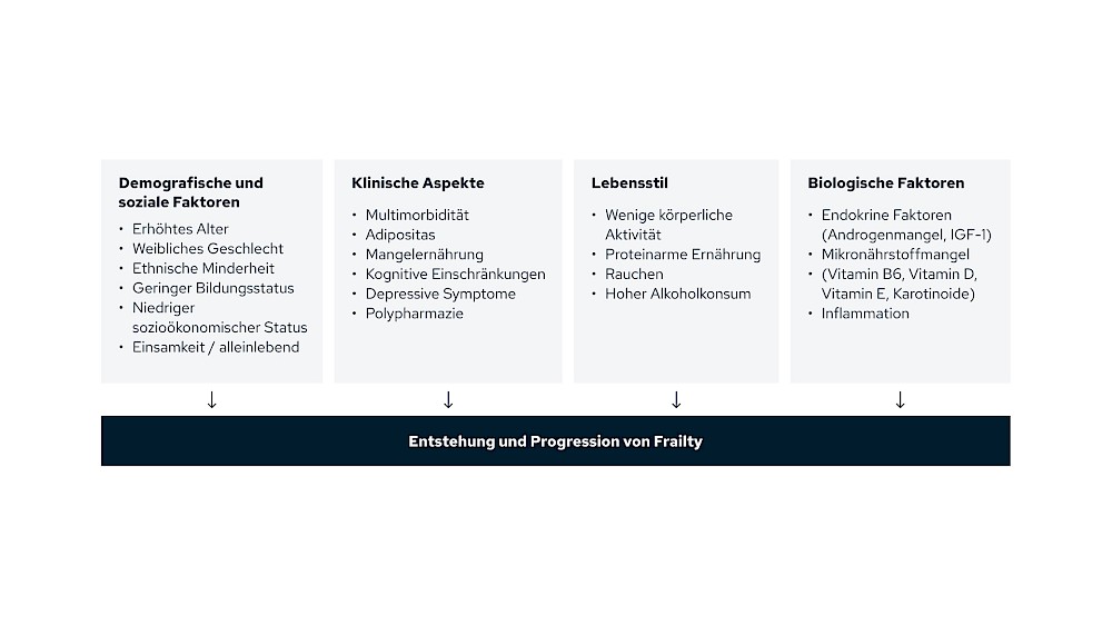 Entstehung und Progression von Frailty